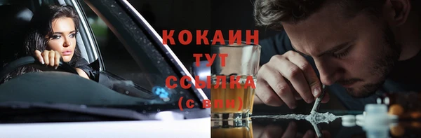спиды Няндома