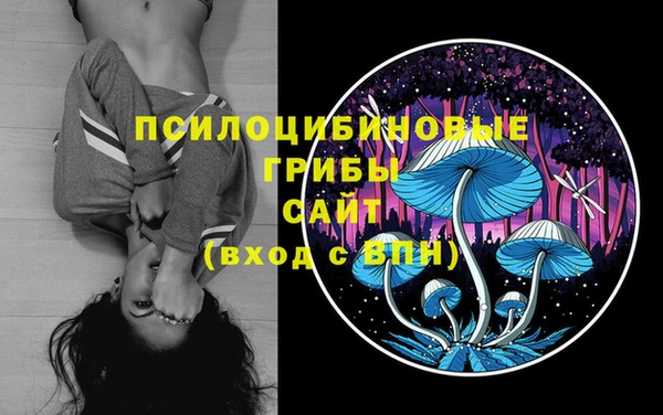 эйфоретик Нязепетровск